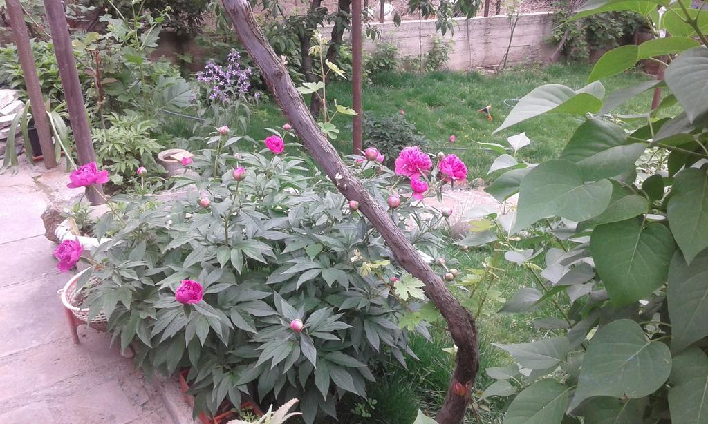 Guest House Ucha Mtsʼkhetʼa Exterior foto