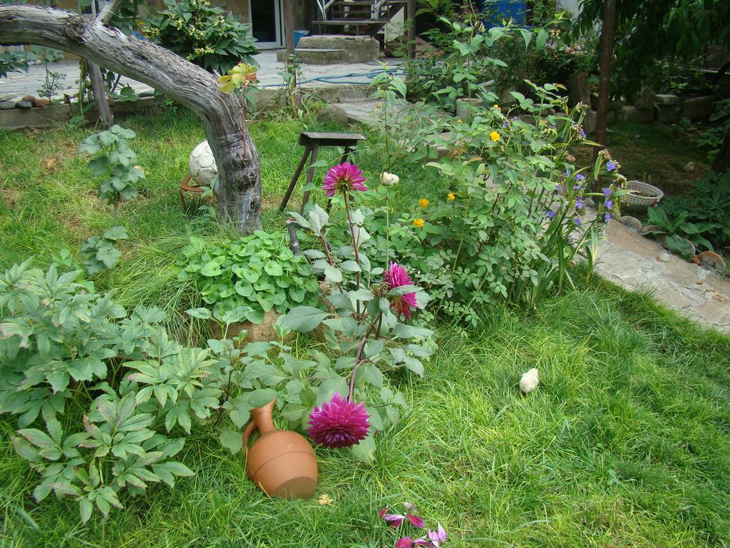 Guest House Ucha Mtsʼkhetʼa Exterior foto