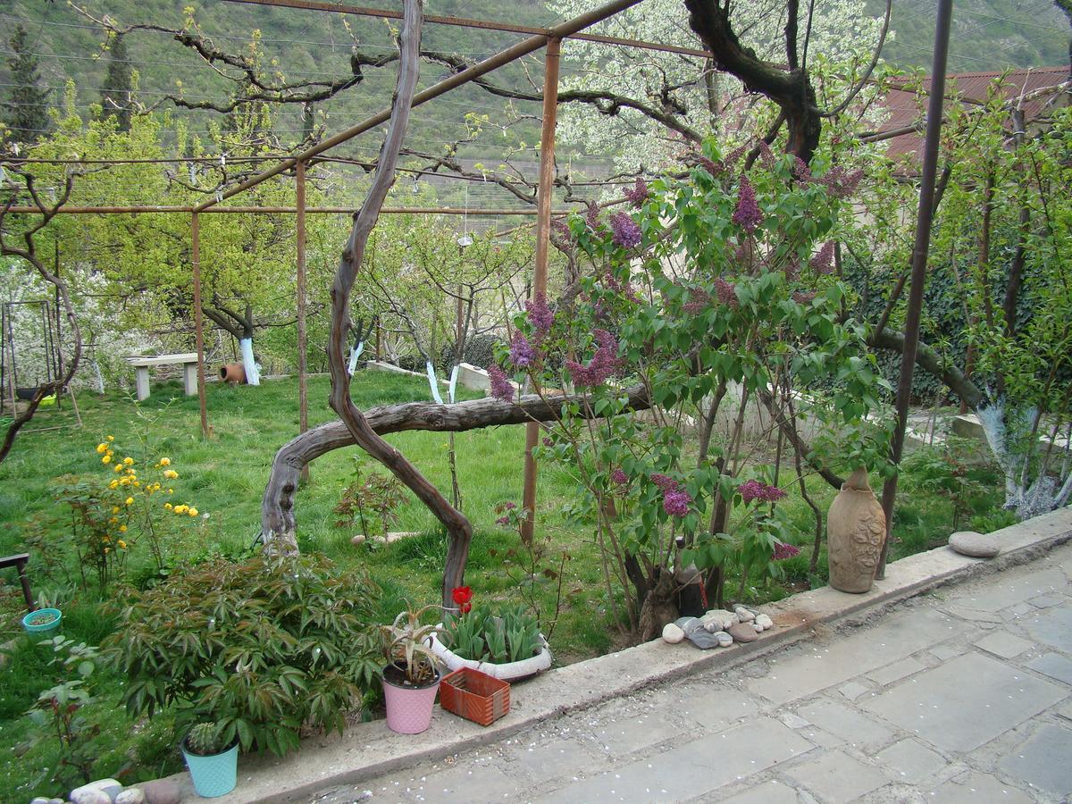 Guest House Ucha Mtsʼkhetʼa Exterior foto