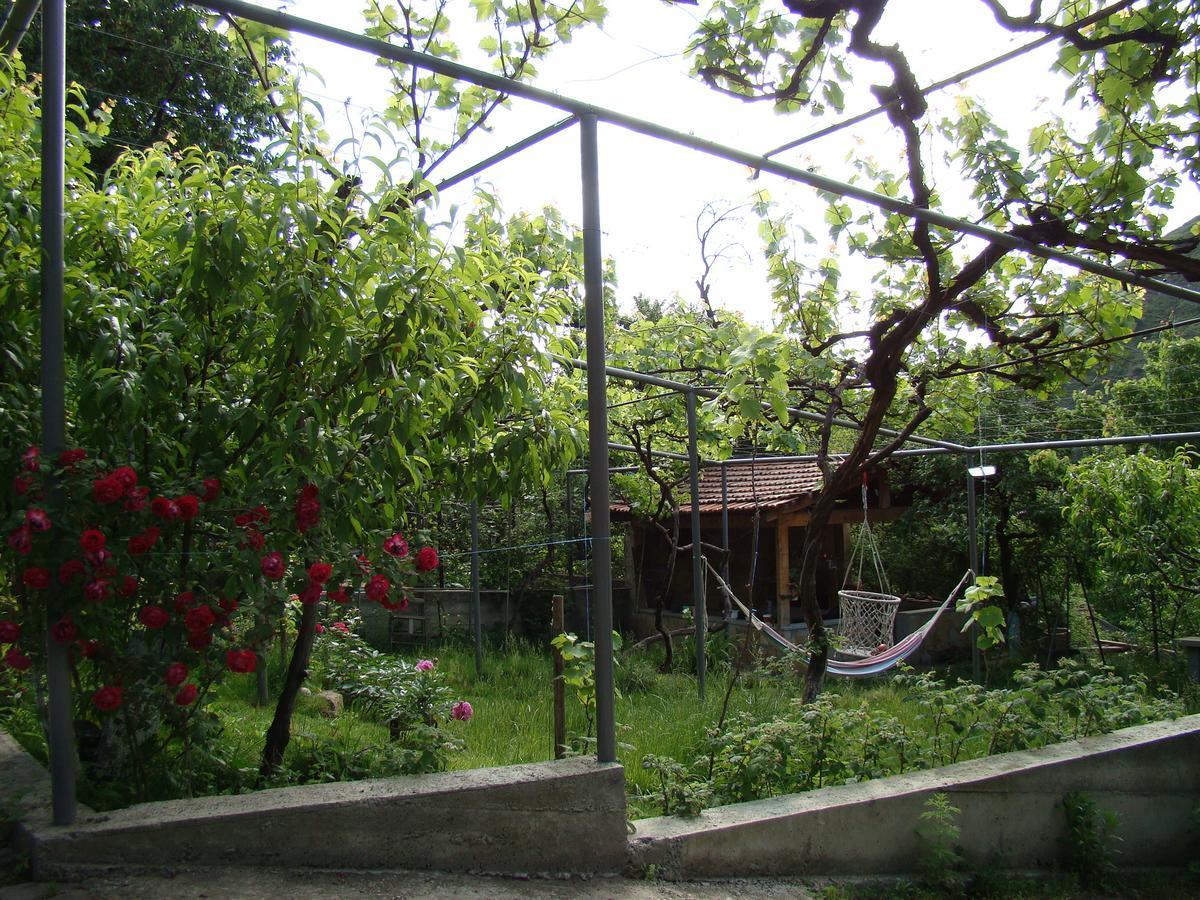 Guest House Ucha Mtsʼkhetʼa Exterior foto