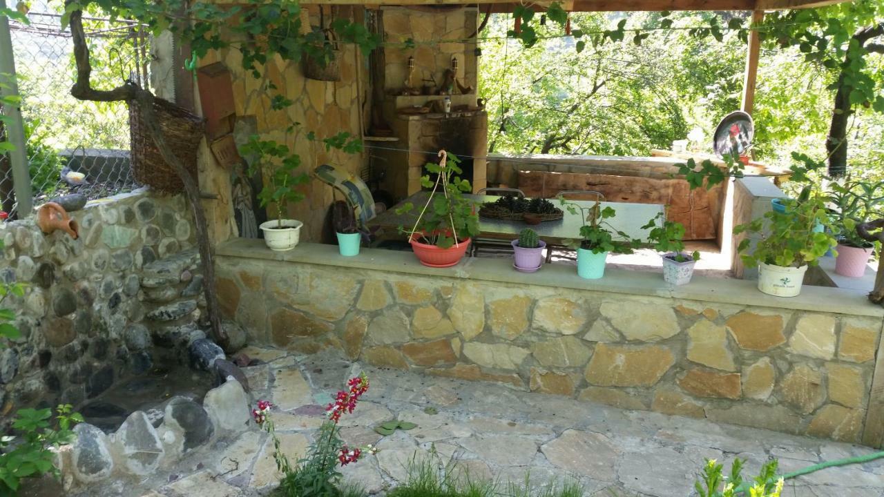 Guest House Ucha Mtsʼkhetʼa Exterior foto