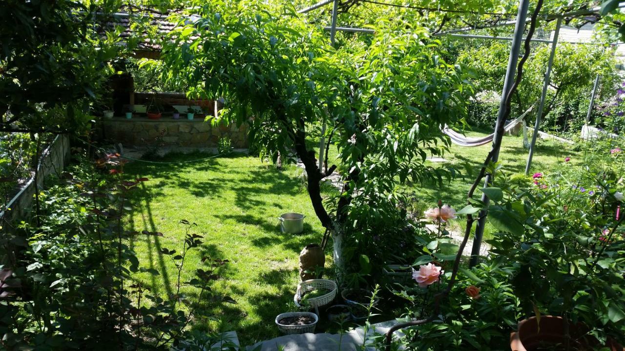 Guest House Ucha Mtsʼkhetʼa Exterior foto