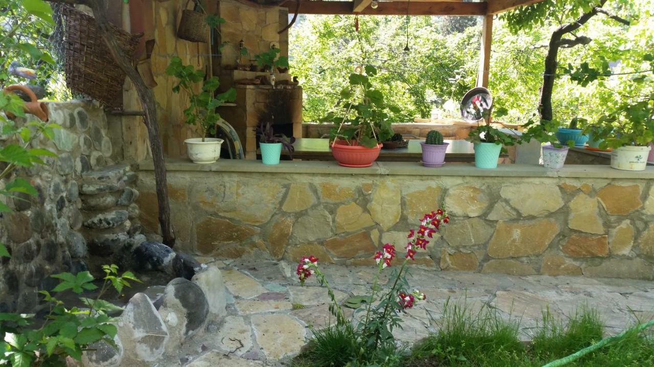 Guest House Ucha Mtsʼkhetʼa Exterior foto