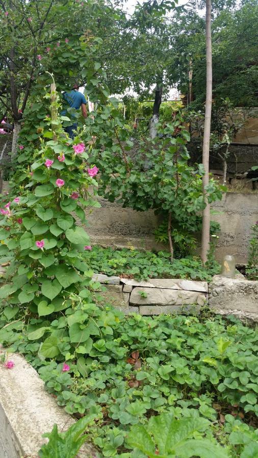 Guest House Ucha Mtsʼkhetʼa Exterior foto